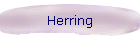 Herring