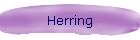 Herring