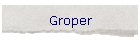 Groper