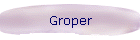 Groper