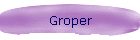 Groper