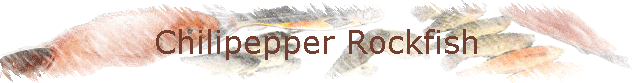 Chilipepper Rockfish