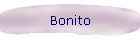 Bonito