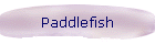 Paddlefish