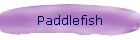 Paddlefish