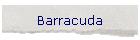 Barracuda