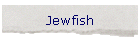 Jewfish