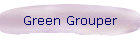 Green Grouper