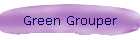 Green Grouper