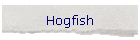 Hogfish