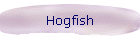 Hogfish