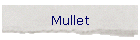 Mullet