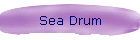 Sea Drum