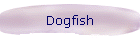 Dogfish