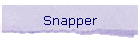 Snapper