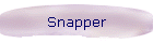 Snapper