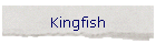 Kingfish