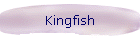 Kingfish