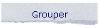 Grouper