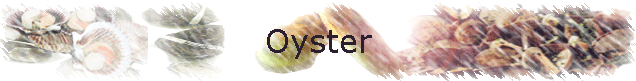 Oyster