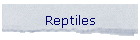 Reptiles