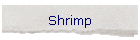 Shrimp