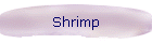 Shrimp