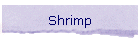 Shrimp