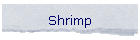 Shrimp