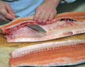 Salmon F12.jpg (207996 bytes)