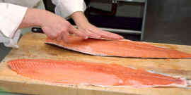 Salmon F21.jpg (96060 bytes)