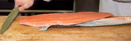 Salmon F27.jpg (67551 bytes)