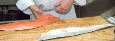 Salmon F28.jpg (104764 bytes)