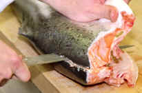 Salmon F8.jpg (144527 bytes)