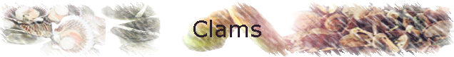 Clams