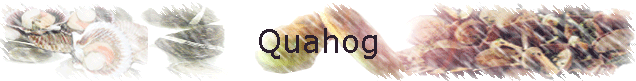 Quahog