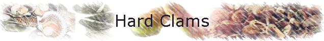 Hard Clams