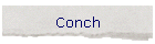 Conch