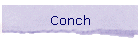 Conch