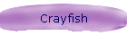 Crayfish