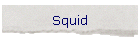 Squid