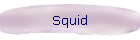 Squid