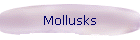 Mollusks