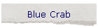 Blue Crab