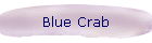 Blue Crab