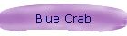 Blue Crab