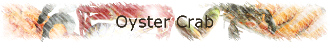 Oyster Crab