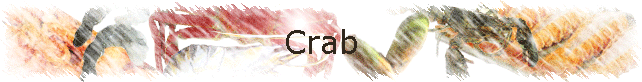 Crab