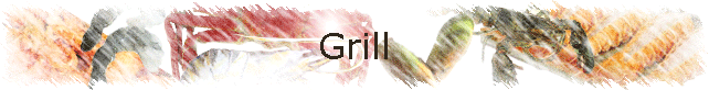 Grill