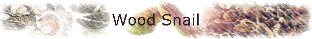 Wood Snail